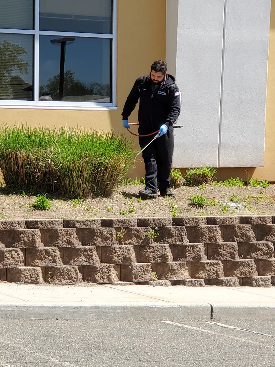 A Marrone technician treating the shrub line along a building exterior
